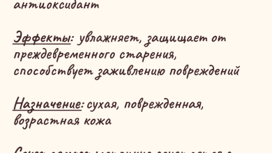 Photo of Полезные свойства оливкового масла